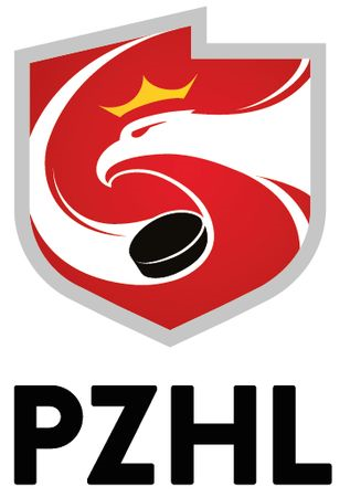 Poland 2016-Pres Primary Logo iron on heat transfer